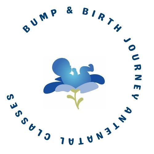 Bump & Birth Journey Logo