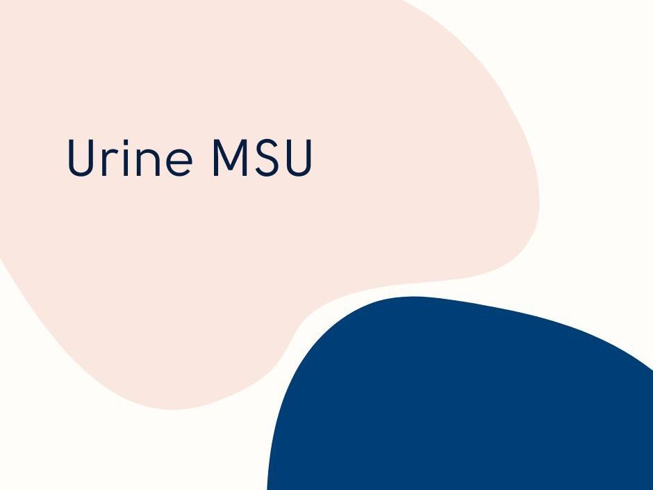 Urine MSU